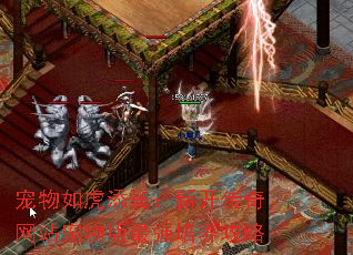 �����绢�������¿�������վ�������ǿ��������