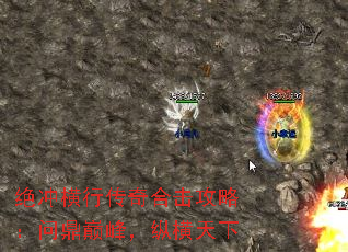 ������д���ϻ����ԣ��ʶ��۷壬�ݺ�����