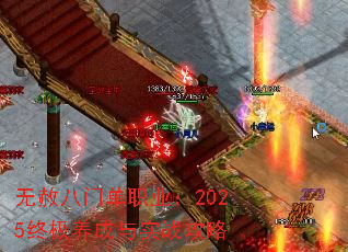 ������ŵ�ְҵ��2025�ռ�������ʵս����