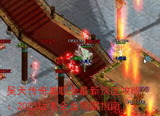 ��촫�浥ְҵ������ȹ��ԣ�2025�汾ȫ���ư�ָ��