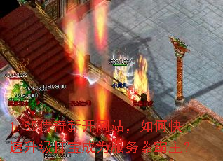 1.85�����¿���վ����ο��������򱦳�Ϊ������������