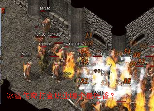 ��ѩ������ְҵ�ĸ�����㣿