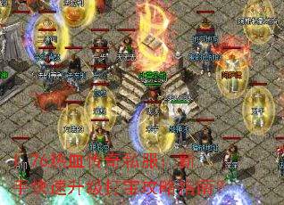 1.76��Ѫ����˽�������ֿ��������򱦹���ָ�ϣ�