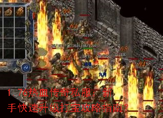 1.76��Ѫ����˽�������ֿ��������򱦹���ָ�ϣ�