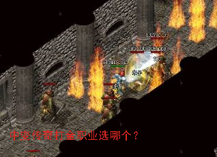 �б䴫����ְҵѡ�ĸ���