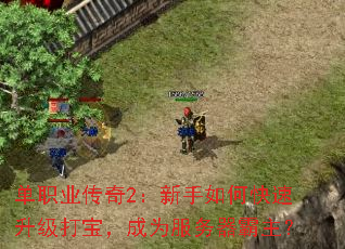 ��ְҵ����2��������ο��������򱦣���Ϊ������������