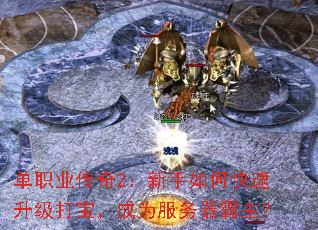 ��ְҵ����2��������ο��������򱦣���Ϊ������������