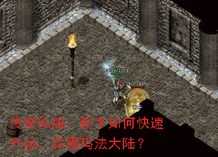 ����˽����������ο����������ư��귨��½��