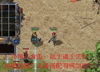 1.76��Ʒ�ϻ���սʿ��ʿ��ʦ���ѡ��װ�������кν�����