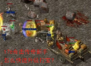 176�ϻ�����������ô���������򱦣�