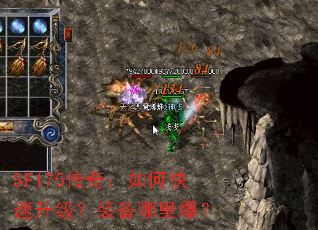 SF175���棺��ο���������װ�����ﱬ��