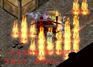 һ��˽�����棺������ο������֣�����ȿӣ�