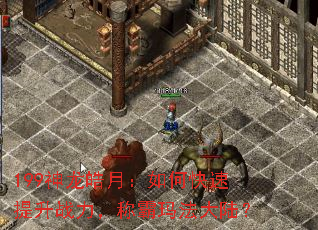 199������£���ο�������ս�����ư��귨��½��