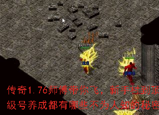 ����1.76ʦ������ɣ����ִ嵽���������ɶ�����Щ��Ϊ��֪�����ܣ�