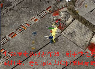 1.76����˽�������������ֿ��������򱦣�����һع�����ػ��۷壿