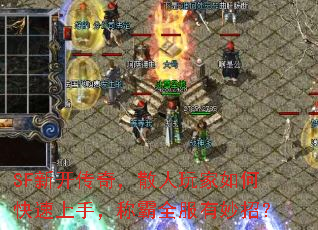 SF�¿����棬ɢ�������ο������֣��ư�ȫ�������У�