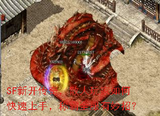 SF�¿����棬ɢ�������ο������֣��ư�ȫ�������У�