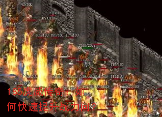 185虎威传奇:如何快速提升战力问? 185虎威传奇:如何快速提升战力问?
