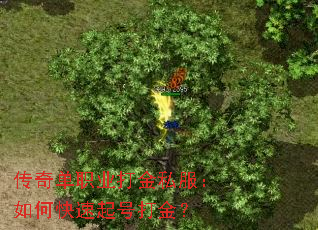 ���浥ְҵ���˽������ο�����Ŵ��