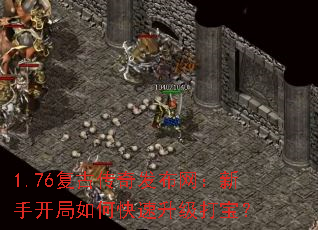 1.76���Ŵ��淢���������ֿ�����ο��������򱦣�