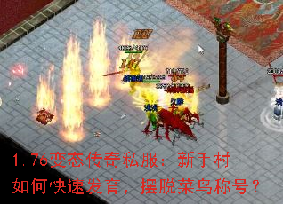 1.76��̬����˽�������ִ���ο��ٷ��������Ѳ���ƺţ�