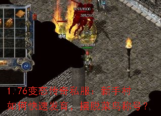 1.76��̬����˽�������ִ���ο��ٷ��������Ѳ���ƺţ�