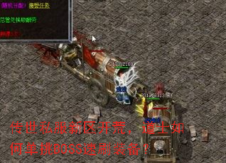 ����˽���������ģ���ʿ��ε���BOSS��ˢװ����