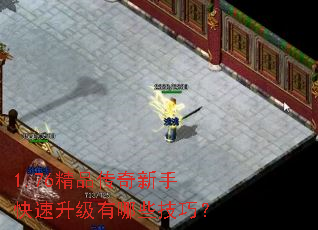 1.76��Ʒ�������ֿ�����������Щ���ɣ�