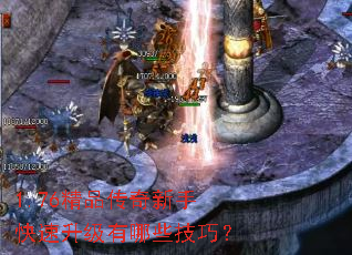 1.76��Ʒ�������ֿ�����������Щ���ɣ�