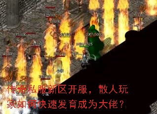 ����˽������������ɢ�������ο��ٷ�����Ϊ���У�