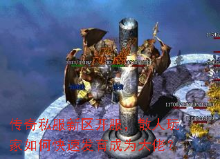 ����˽������������ɢ�������ο��ٷ�����Ϊ���У�