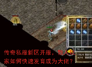 ����˽������������ɢ�������ο��ٷ�����Ϊ���У�