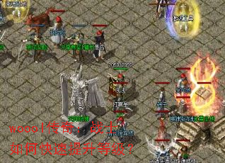 woool���棺սʿ��ο��������ȼ���