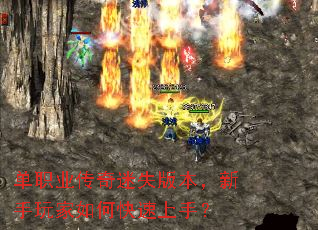 ��ְҵ������ʧ�汾�����������ο������֣�