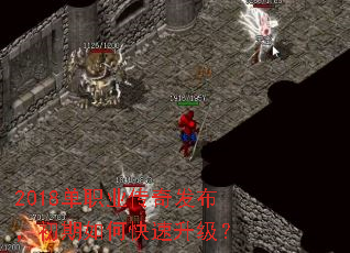 2018��ְҵ���淢����������ο���������