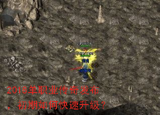 2018��ְҵ���淢����������ο���������