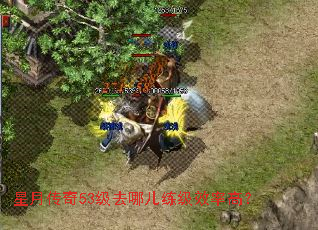 ���´���53��ȥ�Ķ�����Ч�ʸߣ�