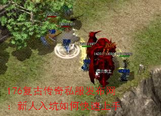 176���Ŵ���˽�������������������ο�������