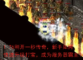 1.76�տ�һ�봫�棬������ο��������򱦣���Ϊ������������