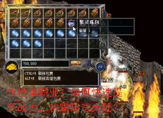 ������ְҵ����ο�������ս�����ư��귨��½��