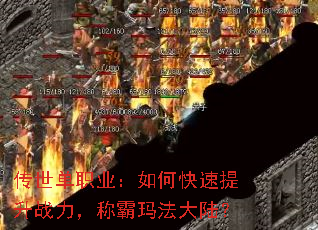 ������ְҵ����ο�������ս�����ư��귨��½��