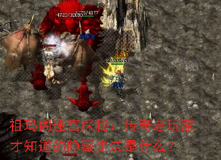 ������Թ�̽�أ���������Ҳ�֪���������߷���ʲô��