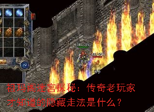 ������Թ�̽�أ���������Ҳ�֪���������߷���ʲô��