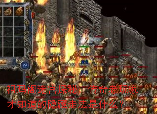 ������Թ�̽�أ���������Ҳ�֪���������߷���ʲô��