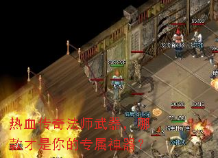 ��Ѫ���淨ʦ�������Ŀ�������ר��������