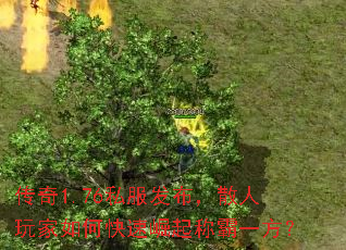 ����1.76˽��������ɢ�������ο�������ư�һ����