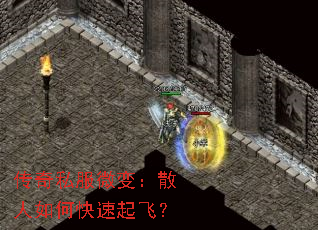 ����˽��΢�䣺ɢ����ο�����ɣ�