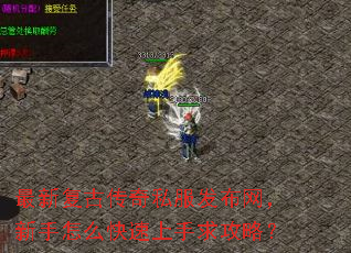 ���¸��Ŵ���˽����������������ô�����������ԣ�