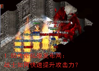 1.85����˽����������սʿ��ο���������������