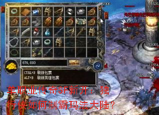 ��ְҵ����SF�¿�������������ư��귨��½��